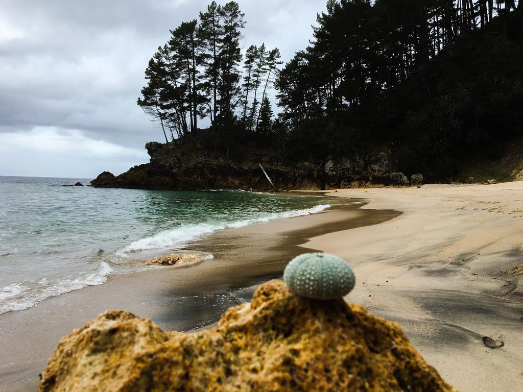 Whangamata Vistas B&B Εξωτερικό φωτογραφία